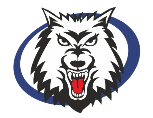Logo hcvlci